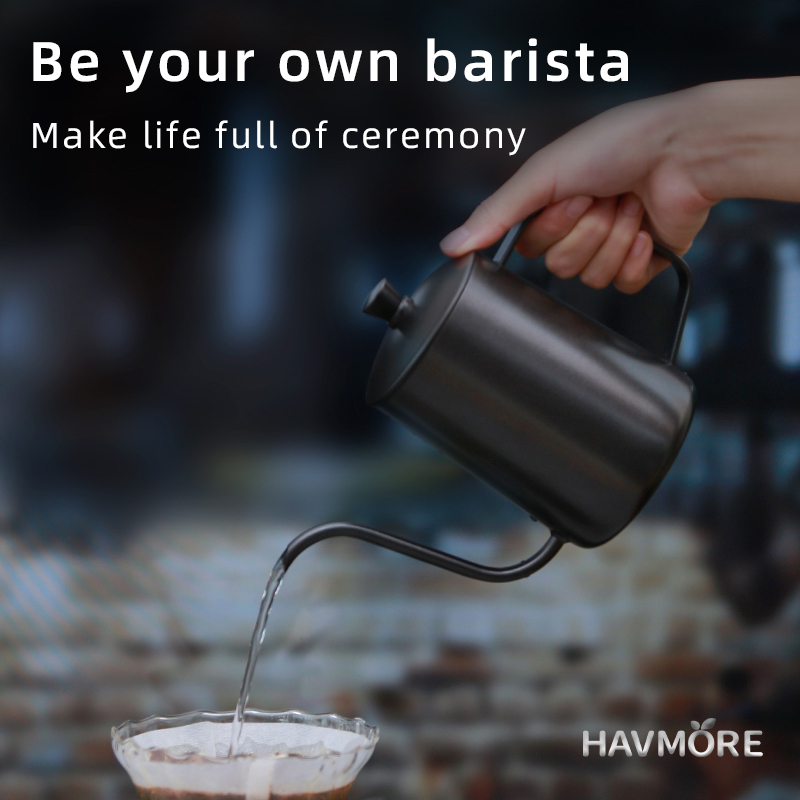 HAVMORE Tetera de acero inoxid - Tea And Coffee Kettle reseña y precio